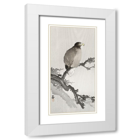 White-tailed eagle on branch White Modern Wood Framed Art Print with Double Matting by Koson, Ohara