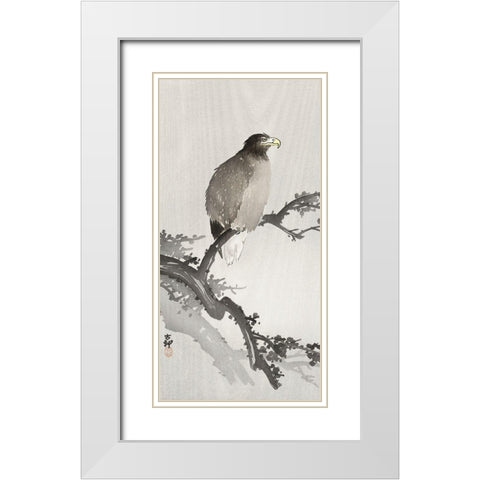 White-tailed eagle on branch White Modern Wood Framed Art Print with Double Matting by Koson, Ohara