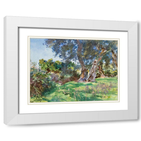 Olive Trees, Corfu White Modern Wood Framed Art Print with Double Matting by Sargent, John Singer