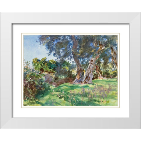 Olive Trees, Corfu White Modern Wood Framed Art Print with Double Matting by Sargent, John Singer