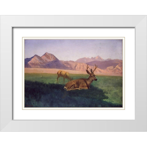 Deer White Modern Wood Framed Art Print with Double Matting by Bierstadt, Albert