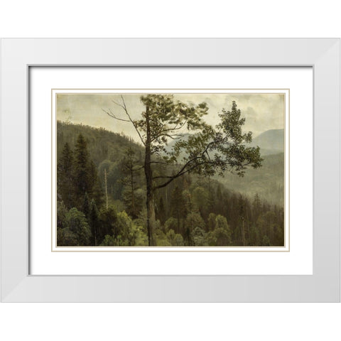 Tree covered mountains White Modern Wood Framed Art Print with Double Matting by Bierstadt, Albert