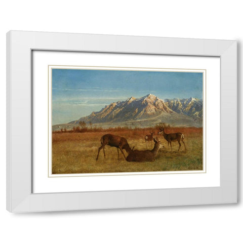 Deer in Mountain Home White Modern Wood Framed Art Print with Double Matting by Bierstadt, Albert