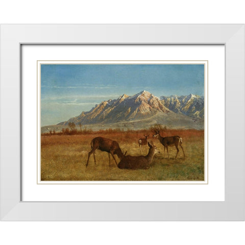 Deer in Mountain Home White Modern Wood Framed Art Print with Double Matting by Bierstadt, Albert
