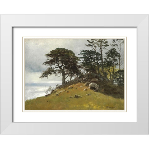 Cypress Point, Monterey White Modern Wood Framed Art Print with Double Matting by Bierstadt, Albert
