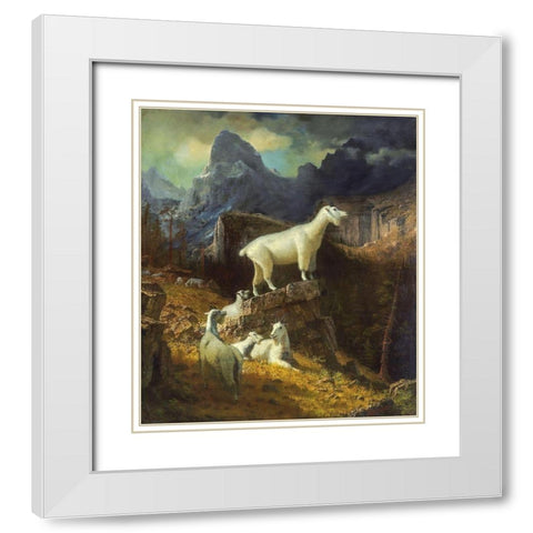 Rocky Mountain Goats White Modern Wood Framed Art Print with Double Matting by Bierstadt, Albert