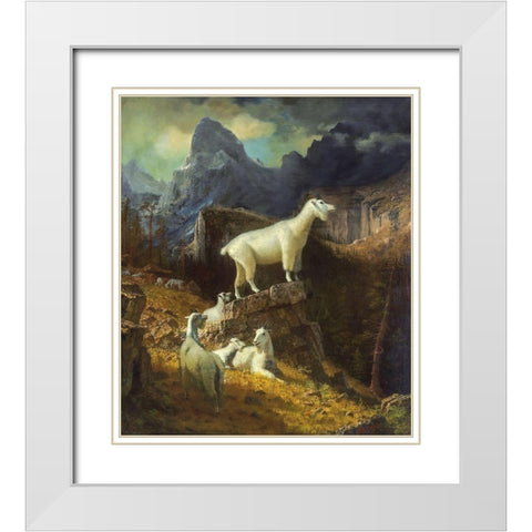 Rocky Mountain Goats White Modern Wood Framed Art Print with Double Matting by Bierstadt, Albert