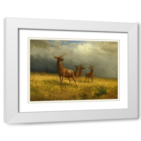 Three Deer and a Stag White Modern Wood Framed Art Print with Double Matting by Bierstadt, Albert