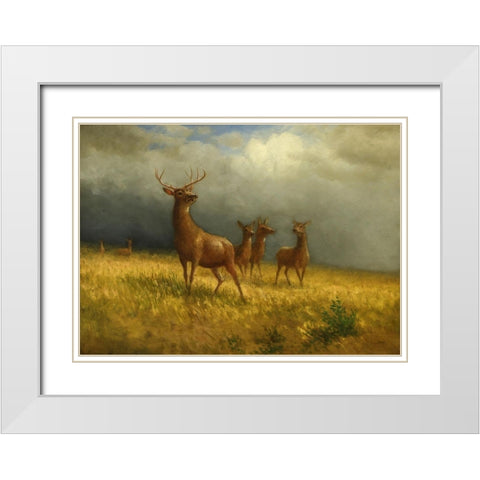 Three Deer and a Stag White Modern Wood Framed Art Print with Double Matting by Bierstadt, Albert