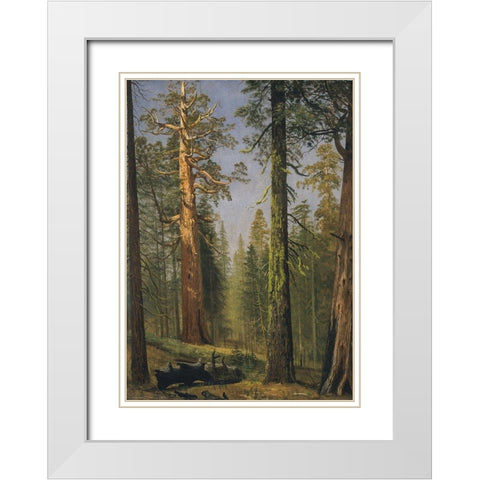 The Grizzly Giant Sequoia, Mariposa Grove, California White Modern Wood Framed Art Print with Double Matting by Bierstadt, Albert