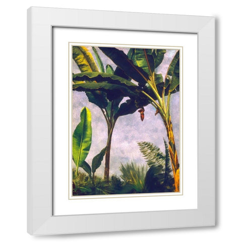 Banana Trees White Modern Wood Framed Art Print with Double Matting by Bierstadt, Albert