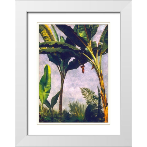 Banana Trees White Modern Wood Framed Art Print with Double Matting by Bierstadt, Albert