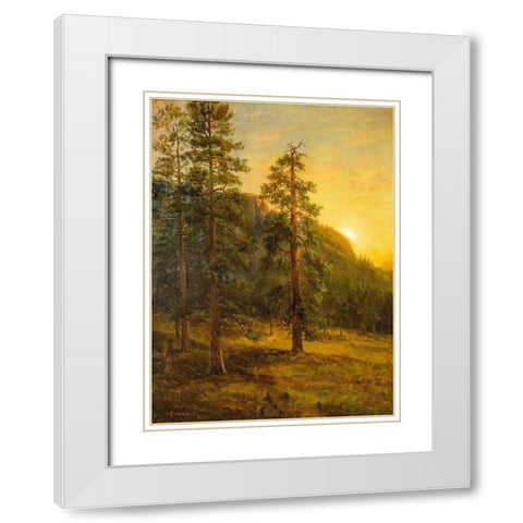 California Redwoods White Modern Wood Framed Art Print with Double Matting by Bierstadt, Albert