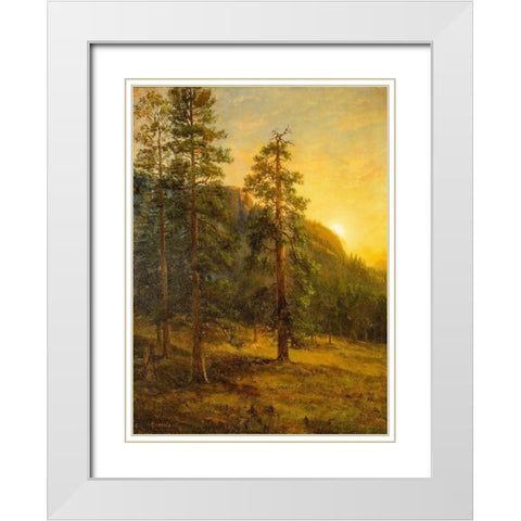 California Redwoods White Modern Wood Framed Art Print with Double Matting by Bierstadt, Albert