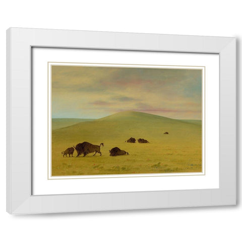 American Pasturage - Prairies of the Platte White Modern Wood Framed Art Print with Double Matting by Catlin, George