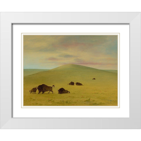 American Pasturage - Prairies of the Platte White Modern Wood Framed Art Print with Double Matting by Catlin, George