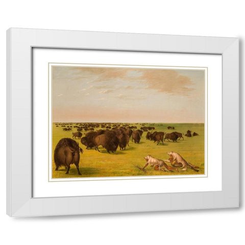 Buffolo Herd Grazing White Modern Wood Framed Art Print with Double Matting by Catlin, George