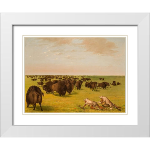 Buffolo Herd Grazing White Modern Wood Framed Art Print with Double Matting by Catlin, George