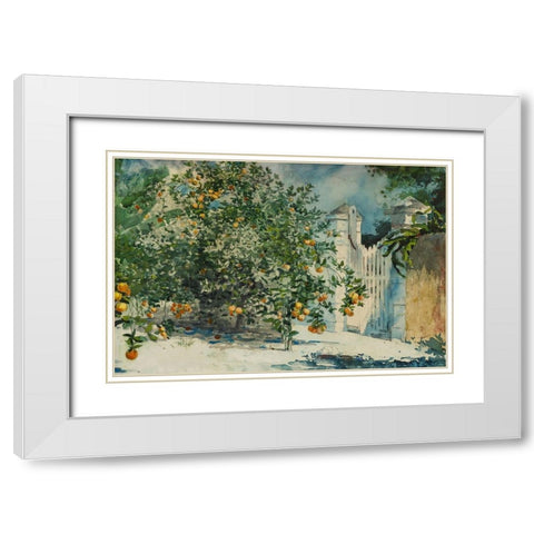 Orange trees and gate White Modern Wood Framed Art Print with Double Matting by Homer, Winslow