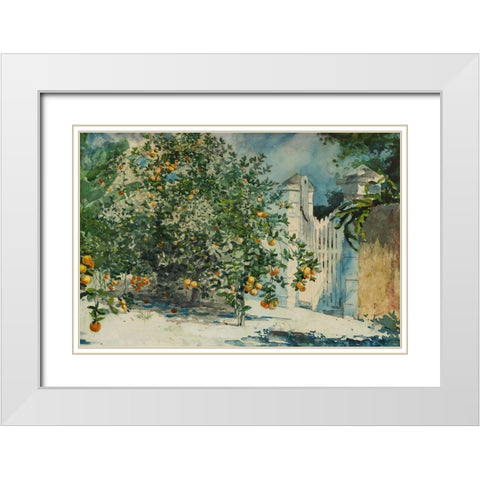 Orange trees and gate White Modern Wood Framed Art Print with Double Matting by Homer, Winslow