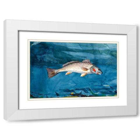 Channel Bass White Modern Wood Framed Art Print with Double Matting by Homer, Winslow