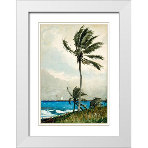 Palm Tree, Nassau White Modern Wood Framed Art Print with Double Matting by Homer, Winslow