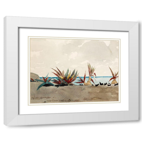 Nassau Beach with Century Plants White Modern Wood Framed Art Print with Double Matting by Homer, Winslow