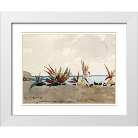 Nassau Beach with Century Plants White Modern Wood Framed Art Print with Double Matting by Homer, Winslow