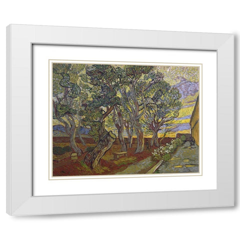 The garden of Saint Pauls Hospital White Modern Wood Framed Art Print with Double Matting by van Gogh, Vincent