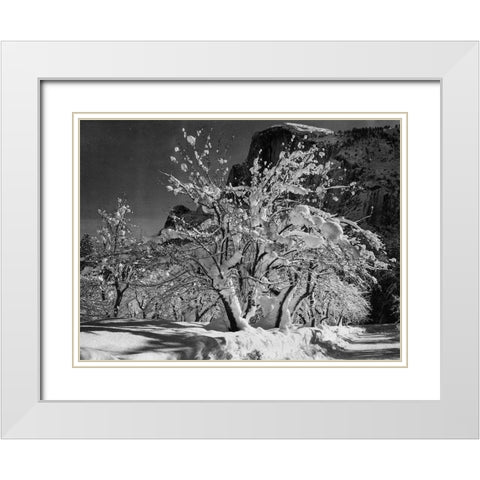 Half Dome-Apple Orchard-Yosemite-California White Modern Wood Framed Art Print with Double Matting by Adams, Ansel