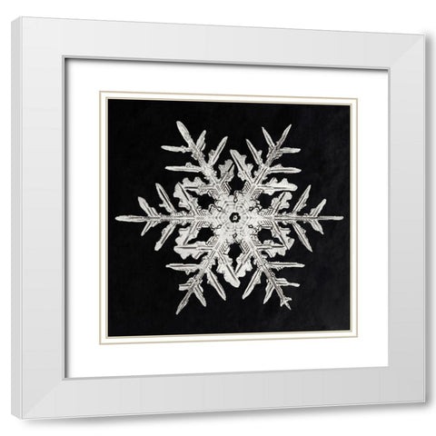 Snowflake 332 White Modern Wood Framed Art Print with Double Matting by Bentley, Wilson
