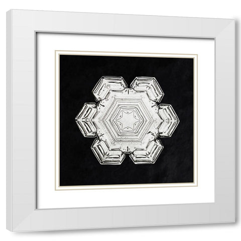 Snowflake 10 White Modern Wood Framed Art Print with Double Matting by Bentley, Wilson