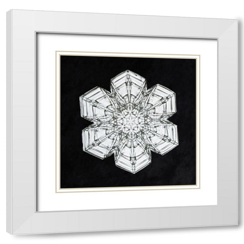 Snowflake 10A White Modern Wood Framed Art Print with Double Matting by Bentley, Wilson
