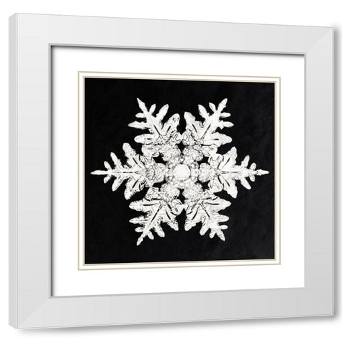 Snowflake 990 White Modern Wood Framed Art Print with Double Matting by Bentley, Wilson