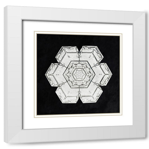 Snowflake 562 White Modern Wood Framed Art Print with Double Matting by Bentley, Wilson
