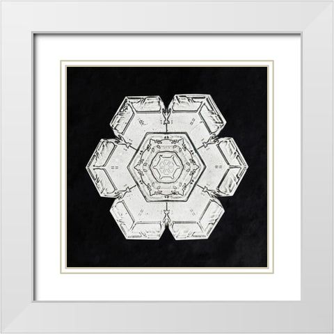 Snowflake 562 White Modern Wood Framed Art Print with Double Matting by Bentley, Wilson