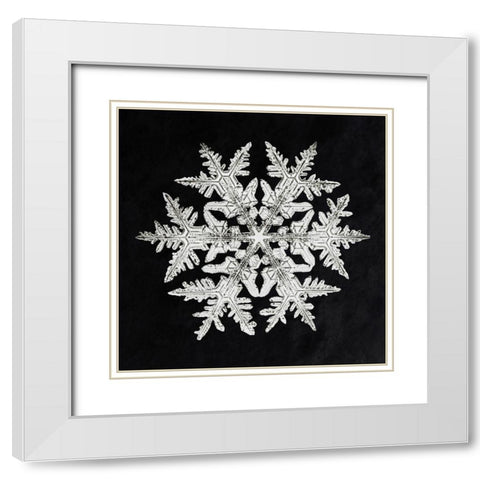 Snowflake 920 White Modern Wood Framed Art Print with Double Matting by Bentley, Wilson