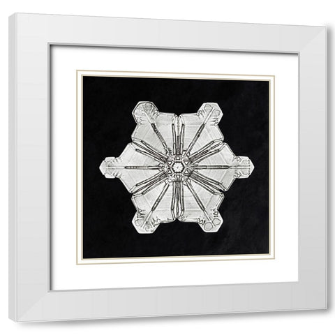 Snowflake 976 White Modern Wood Framed Art Print with Double Matting by Bentley, Wilson