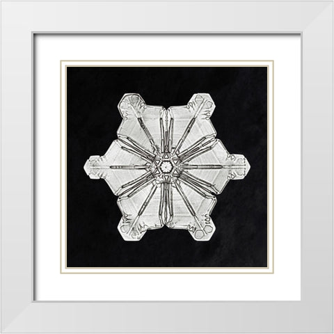 Snowflake 976 White Modern Wood Framed Art Print with Double Matting by Bentley, Wilson