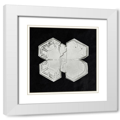 Snowflake 1225 White Modern Wood Framed Art Print with Double Matting by Bentley, Wilson