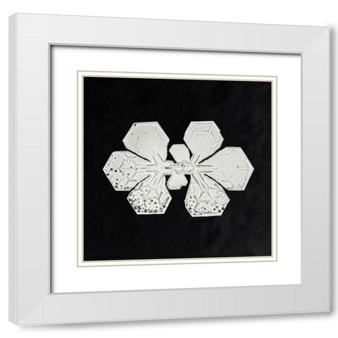 Snowflake 349 White Modern Wood Framed Art Print with Double Matting by Bentley, Wilson