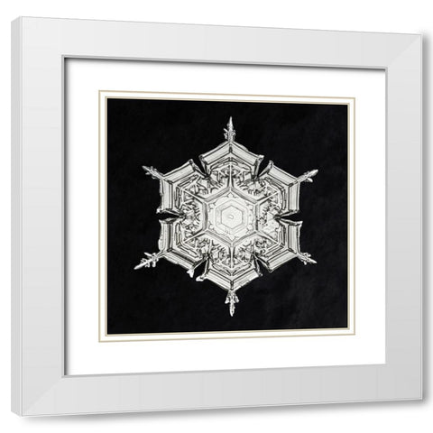 Snowflake 579A White Modern Wood Framed Art Print with Double Matting by Bentley, Wilson