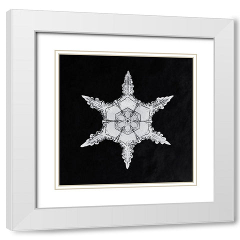Snowflake 342 White Modern Wood Framed Art Print with Double Matting by Bentley, Wilson