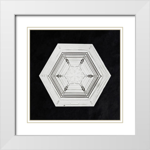 Snowflake 234 White Modern Wood Framed Art Print with Double Matting by Bentley, Wilson