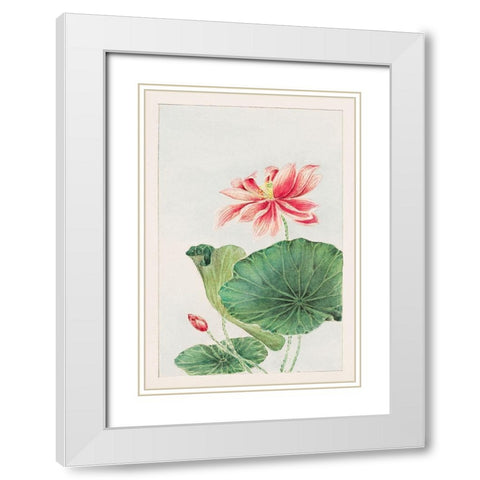 Hasu or lotus White Modern Wood Framed Art Print with Double Matting by Morikaga, Megata