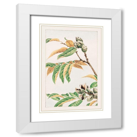 Shi White Modern Wood Framed Art Print with Double Matting by Morikaga, Megata