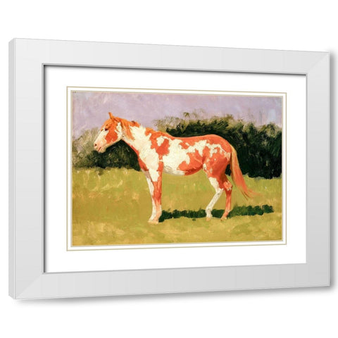 Pinto horse White Modern Wood Framed Art Print with Double Matting by Remington, Frederic