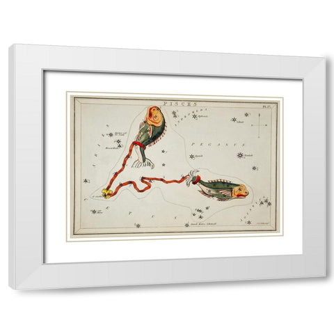 Astronomical chart illustration of the Pisces White Modern Wood Framed Art Print with Double Matting by Hall, Sidney