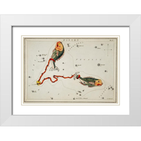 Astronomical chart illustration of the Pisces White Modern Wood Framed Art Print with Double Matting by Hall, Sidney