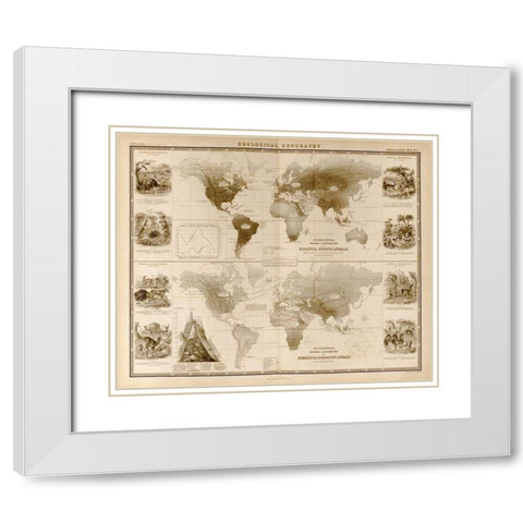 Zoological Geography Ruminants White Modern Wood Framed Art Print with Double Matting by Vintage Maps